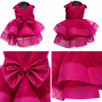 Fuchsia Glam Bow Dress