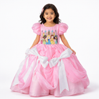 Princesses Embroidered Ball Gown