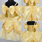 Belle Theme Ball Gown