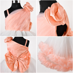Peach White One Shoulder Tulle Dress