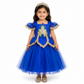 Royal Blue Castle Dream