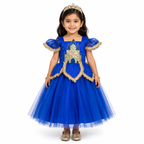 Royal Blue Castle Dream