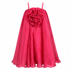 Crimson Bloom Cape Dress