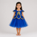 Royal Blue Castle Dream