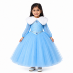 Elsa Frozen Theme Princess Gown