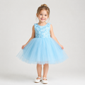 Powder Blue Rosette Tulle Dress