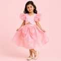Indowestern Pink Lehenga Set