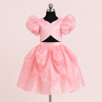 Indowestern Pink Lehenga Set - view 2