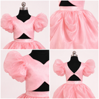 Indowestern Pink Lehenga Set - view 4