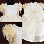 Butteryellow Floral Crystal Frock - view 3