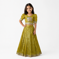 Mustard Embroidered Lehenga Choli