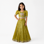 Mustard Embroidered Lehenga Choli