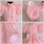 Blush Shine Princess Dress