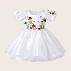 Strawberry First Birthday Dress - view 2