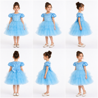 Blue Pearl Ruffle dress