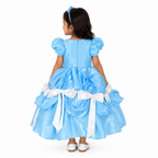 Blue Princess Ball Gown