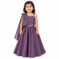 Plum Butterfly Drape Lehenga Set