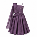 Plum Butterfly Drape Lehenga Set