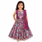 Royal Patola Lehenga Set